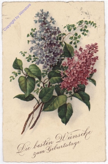 ak193798 Flieder, Geburtstag