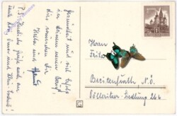 ak193801a Pärchen, Geburtstag