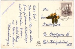 Kinder auf Schaukel, Geburtstag