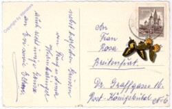 ak193803a Engelein, Geburtstag