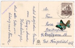 ak193804a Veilchen, Geburtstag