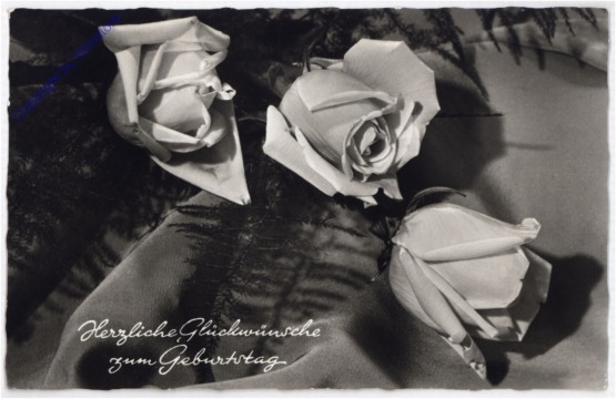 ak193805 Rosen, Geburtstag