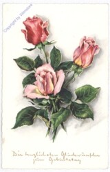 ak193810 Rosen, Geburtstag