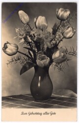 ak193812 Tulpen, Geburtstag