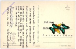 ak193812a Tulpen, Geburtstag