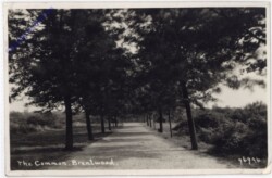 Brentwood, The Common