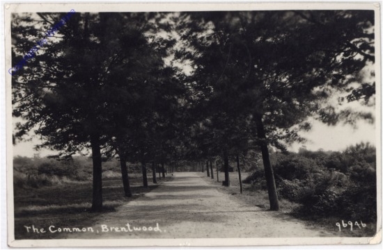 Brentwood, The Common