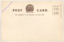 Windermere, from Orrest Head