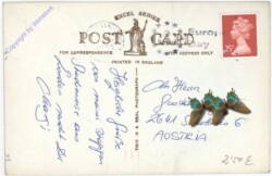 Woodville Towers, Carisbrooke Castle