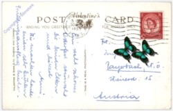 London, Windsor Casle, East Terrace