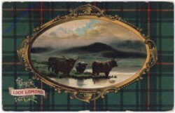 Loch Lomond, Ansicht