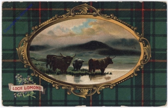 Loch Lomond, Ansicht