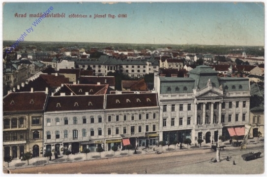 Arad, madartavlatbol