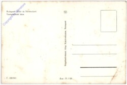 Budapest, Allat- es Növenykert, Vastagbörüek haza