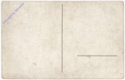 Wien 20, Die Brigitte-Au