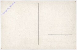 Wien 20, Die Brigitte-Au