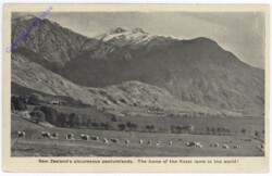 Neuseeland, picturesque pasturelands, home of the finest lamb