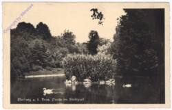 Marburg an der Drau, Partie im Stadtpark