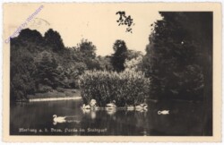 Marburg an der Drau, Partie im Stadtpark