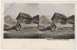 ak194898 Svycary, Partie u hotelu Bel-Alp