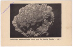 Kalksinther, blumenkohlartig, Sta. Eulalia, Mexiko
