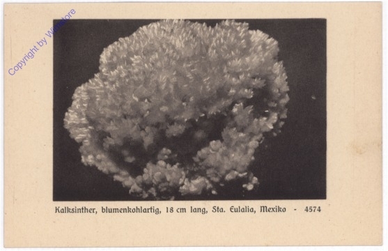 Kalksinther, blumenkohlartig, Sta. Eulalia, Mexiko