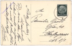 Verschneiter Zapfenzweig