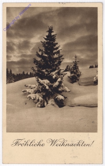 Verschneiter Baum