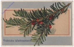 Zweige  und Beeren
