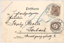 Dame auf Schweinderlkutsche