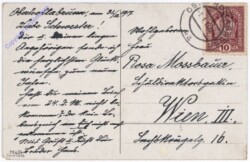 Winterstrauß