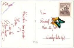 Rauchfangkehrer mit Ferkel