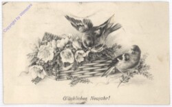 Blumen und Vögel