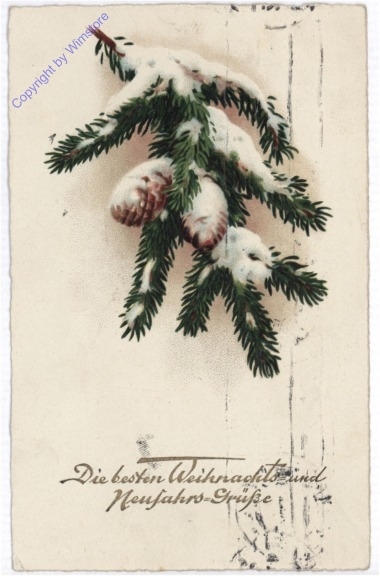 Zweig mit Schnee