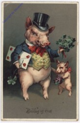 ak195077 Glückschweinchen