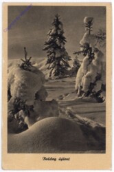 ak195102 Winterwald