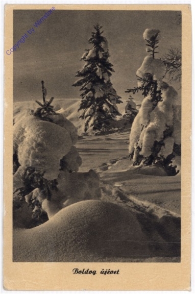 Winterwald