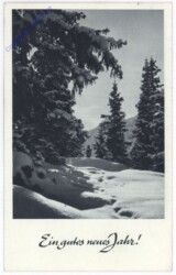 ak195103 Winterwald
