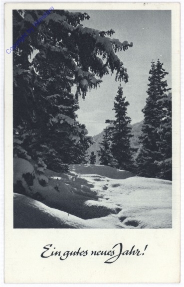 Winterwald