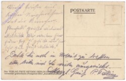 ak195104a Sylvester