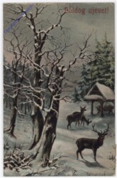 ak195106 Rehe im Wald