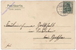 Küken am Hof