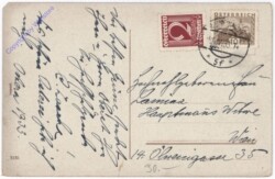 Schneeglöckchen im Kreuz