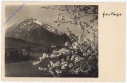 Landschaft mit blühendem Baum