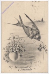 Schwalbe mit Blumenvasenei