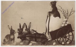 Hasen mit Kutsche