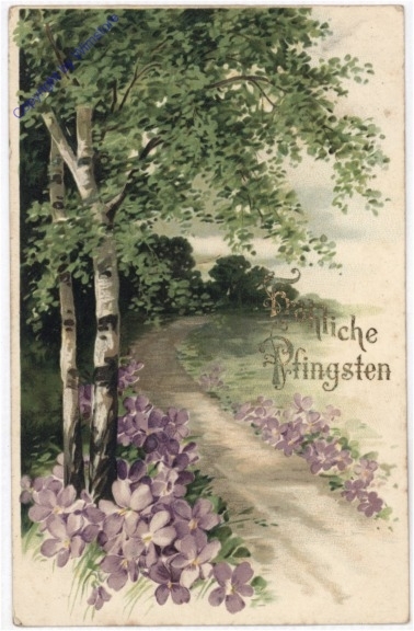 Birken und Veilchen