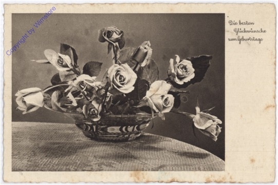 ak195189 Rosen in Schale, Geburtstag