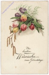 ak195194 Strauß Tulpen, Geburtstag