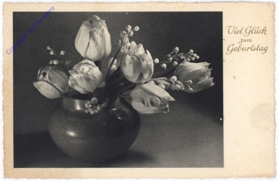 ak195195 Strauß Tulpen, Geburtstag